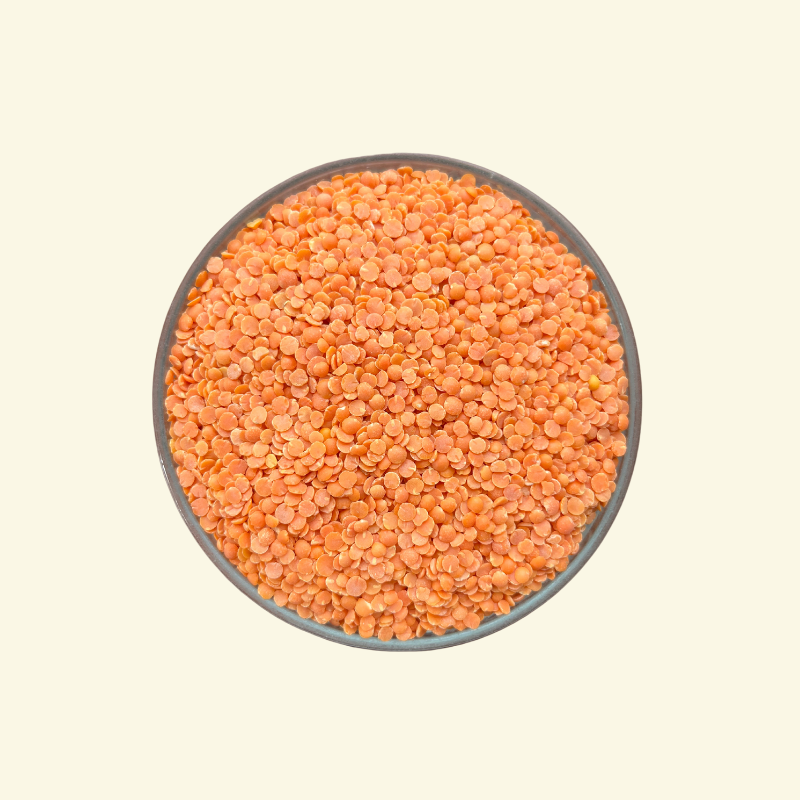 LENTILS